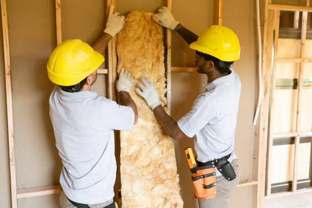 Insulation Replacement Services in Debary, FL